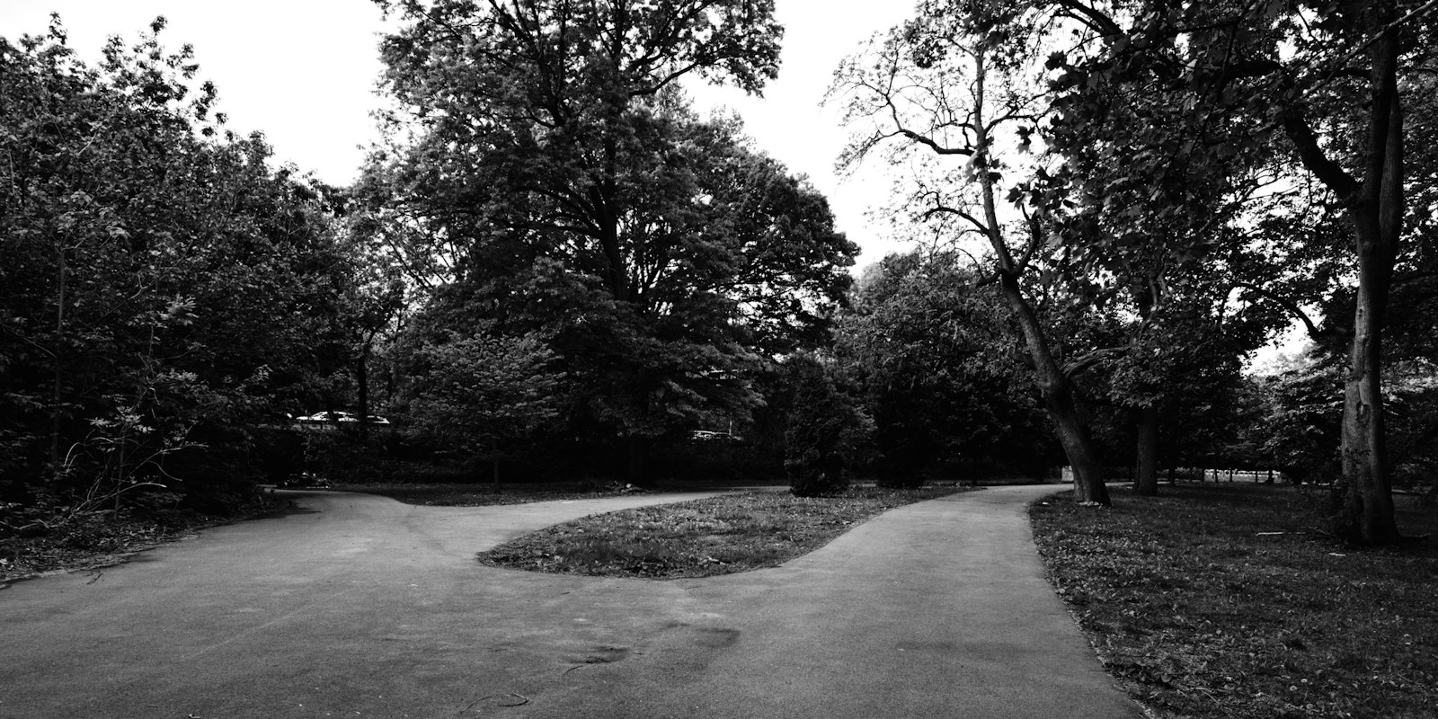 A fork in a paved path surrounded by trees
