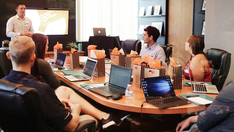 Consultant presenting to a team in a meeting